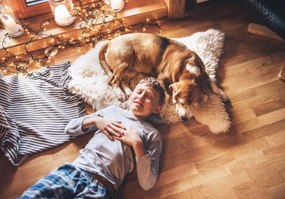 Why Non-Toxic Scents Are Better for Pets and Familiesimage-alt