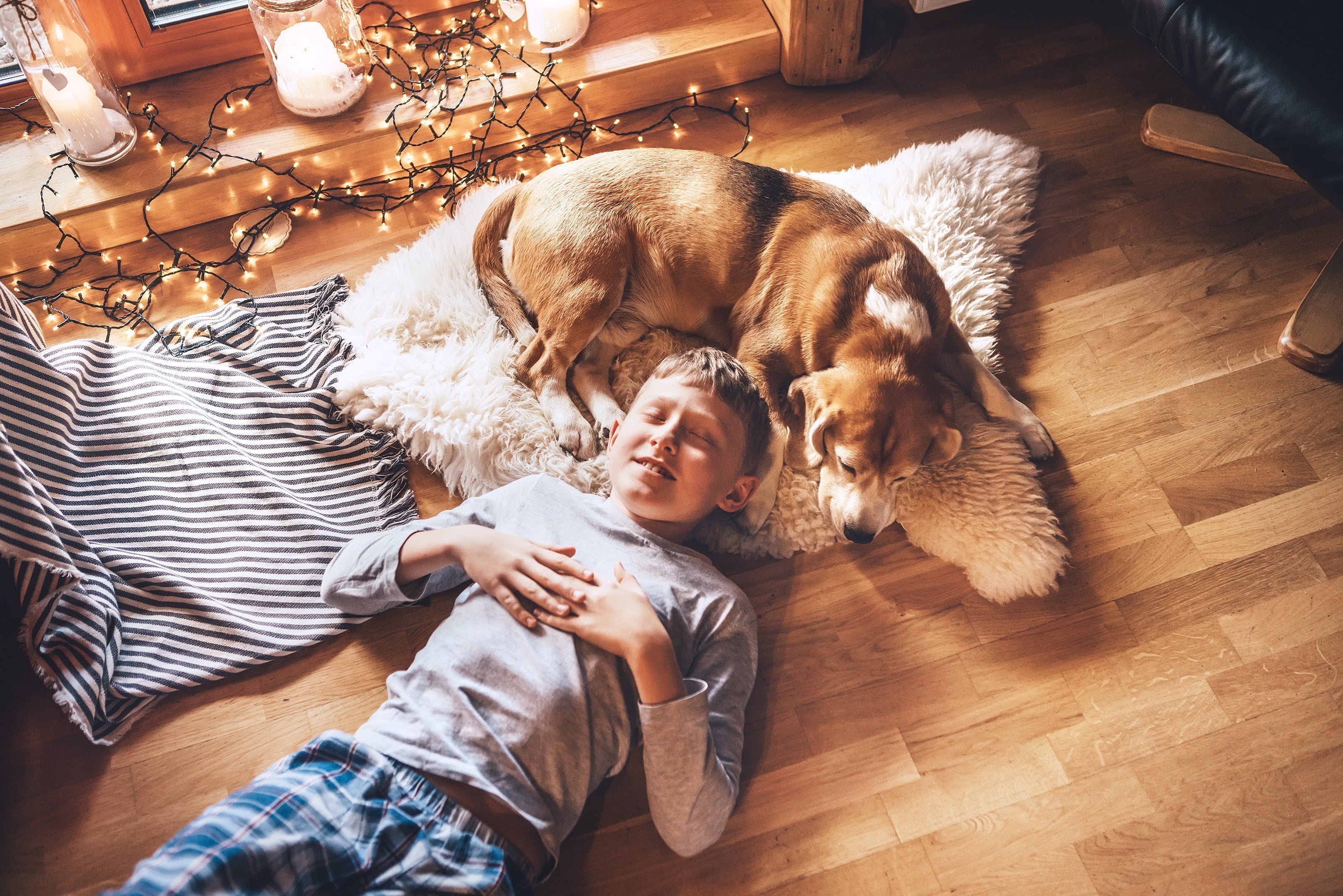 Why Non-Toxic Scents Are Better for Pets and Familiesimage-alt