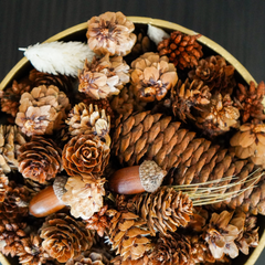 Holiday Clove Potpourri Bowlimage-alt
