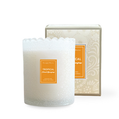 Tropical Coconut Lemongrass Natural Candle 8oz Kaia Collectionimage-alt