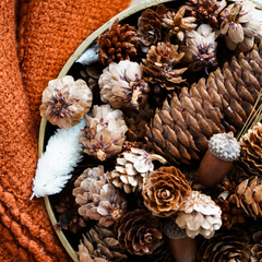 Pumpkin Spice Natural Potpourri Bowlimage-alt