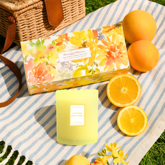 Summer Non-Toxic Gift Setimage-alt