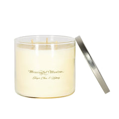 3-Wick Ginger, Clove, & Nutmeg 16oz Candleimage-alt