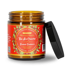 You Are Cheerful Frosted Cranberry Candleimage-alt