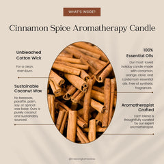 You Are Extraordinary Cinnamon Spice Holiday Aromatherapy Candleimage-alt