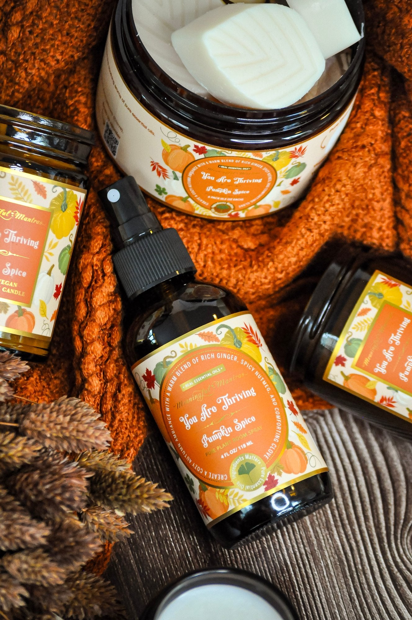 You Are Thriving Pumpkin Spice Room Sprayimage-alt