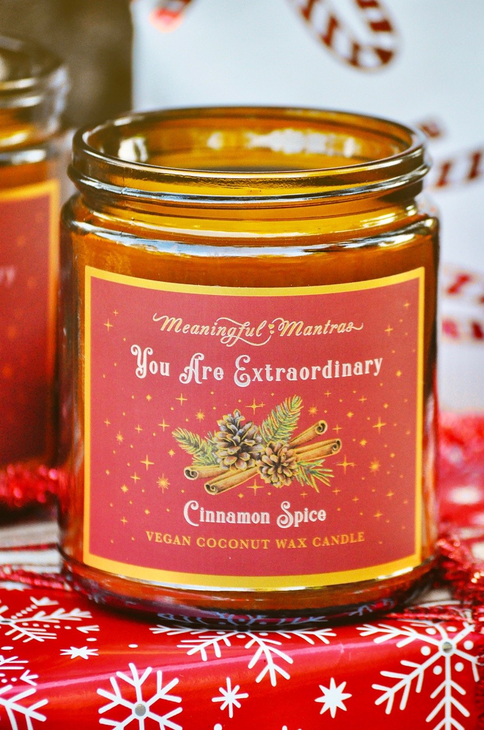 You Are Extraordinary Cinnamon Spice Holiday Aromatherapy Candleimage-alt
