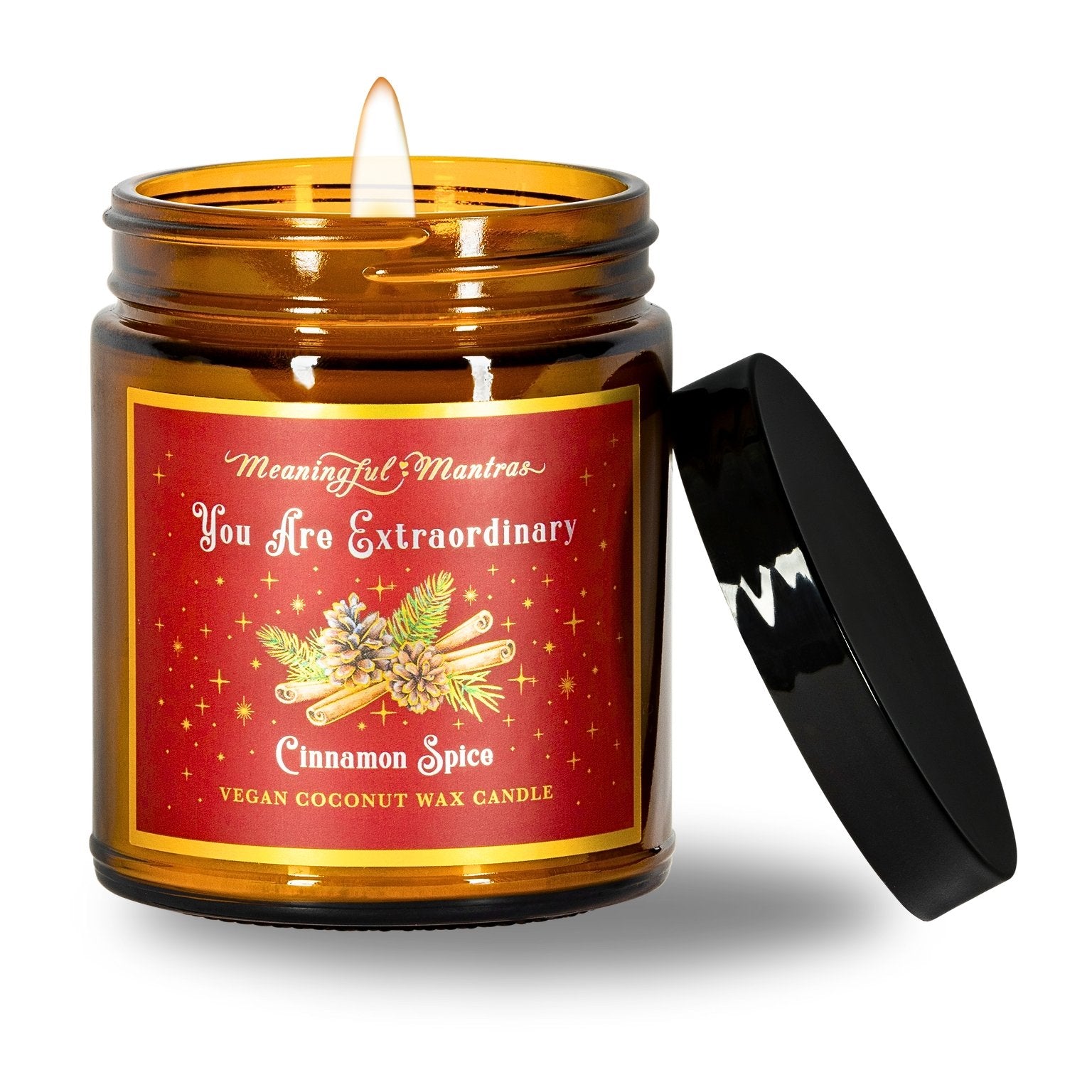 You Are Extraordinary Cinnamon Spice Holiday Aromatherapy Candleimage-alt