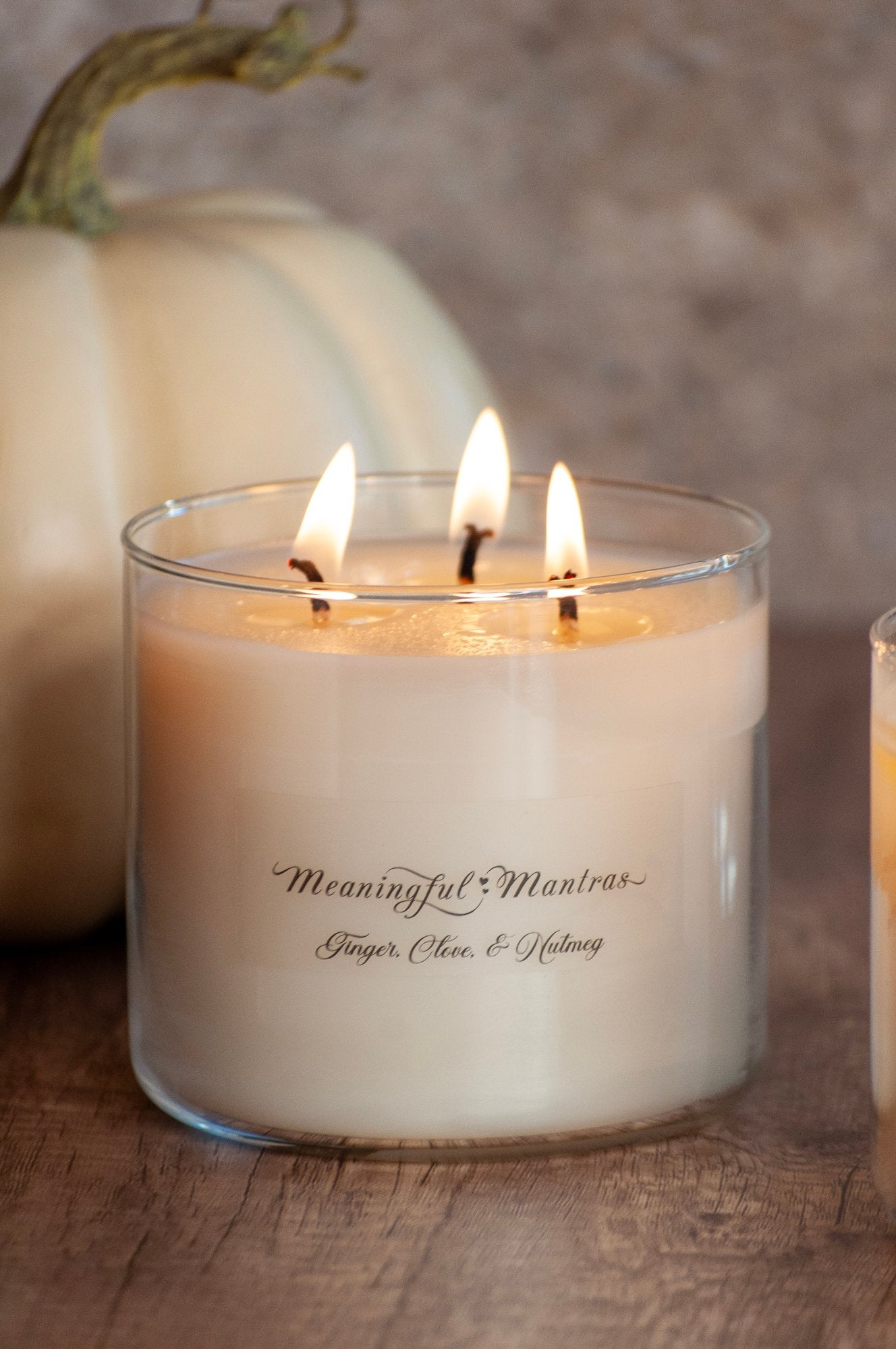 3-Wick Ginger, Clove, & Nutmeg 16oz Candleimage-alt