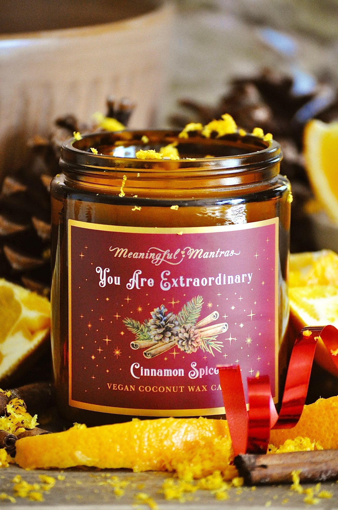 You Are Extraordinary Cinnamon Spice Holiday Aromatherapy Candleimage-alt
