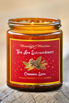 You Are Extraordinary Cinnamon Spice Holiday Aromatherapy Candleimage-alt