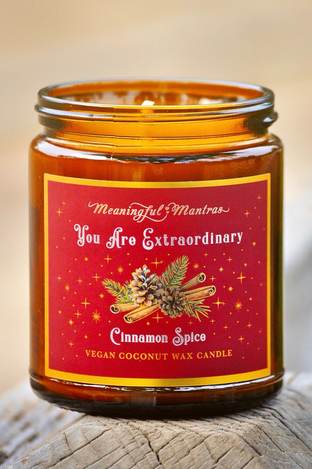 You Are Extraordinary Cinnamon Spice Holiday Aromatherapy Candleimage-alt