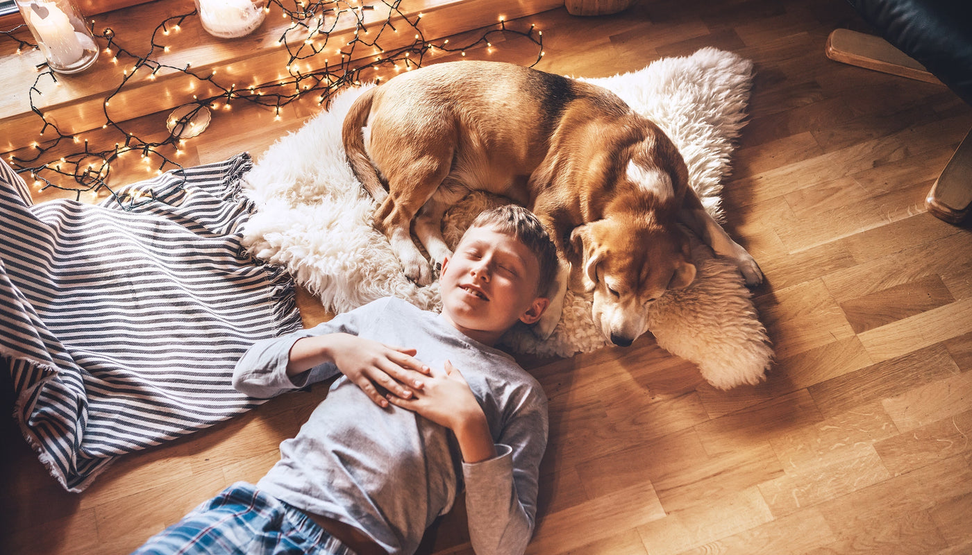 Why Non-Toxic Scents Are Better for Pets and Familiesimage-alt