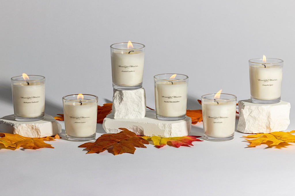 FALL FAVORITES (Shop top picks for Fall) | IMAGES * Untitled_design-4.jpg
