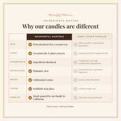 Vampire Blood x @toxicfreewithlindsay Natural Candle 8oz Kaia Collectionimage-alt
