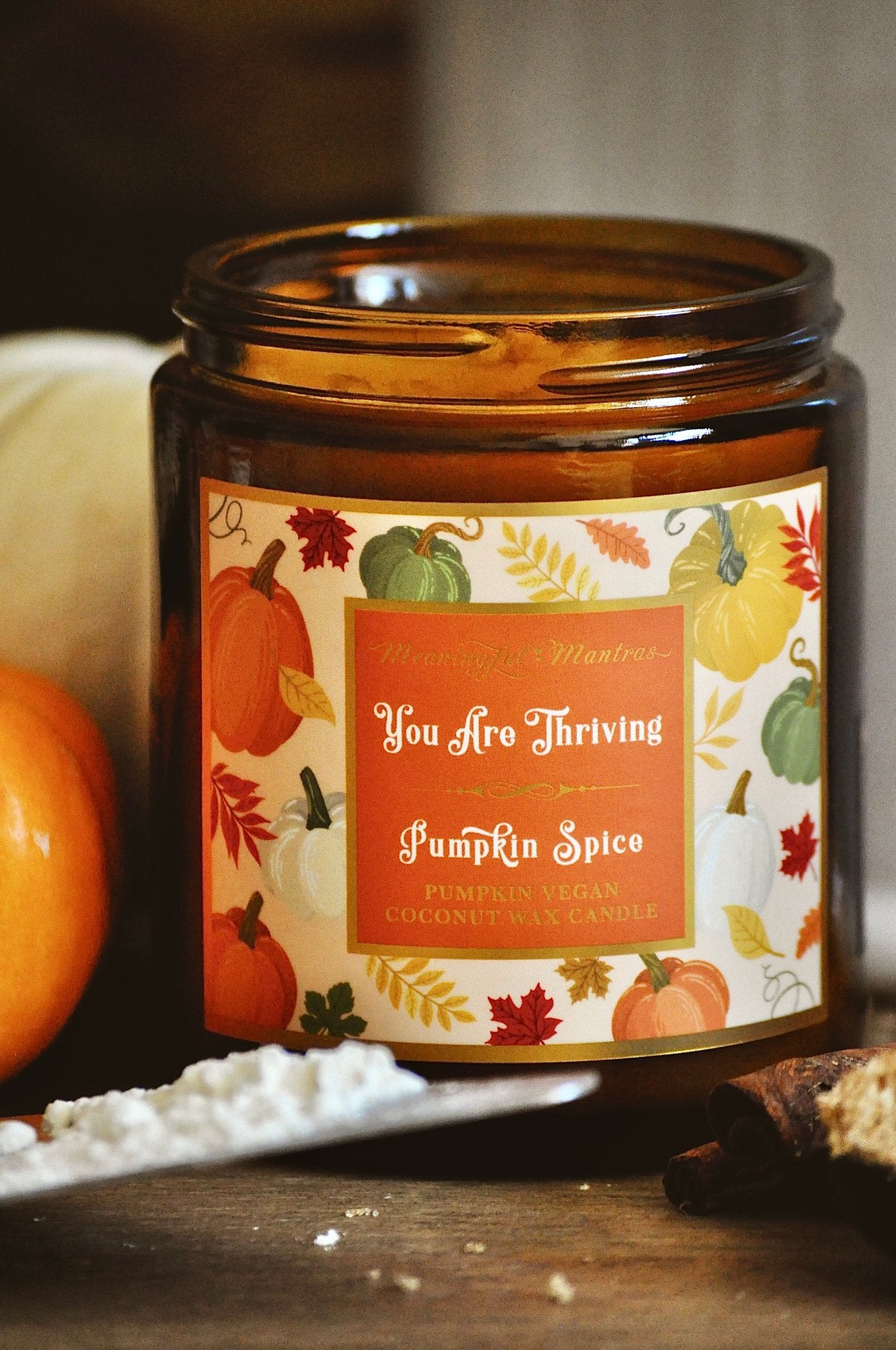 You Are Thriving Pumpkin Spice Candle