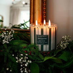 Festive 3-Wick Spruce & Fir 16oz Candleimage-alt