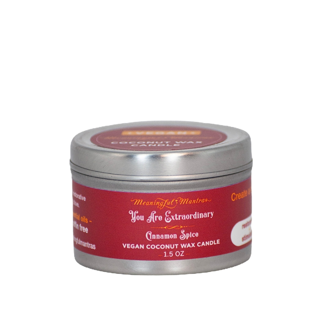 1.5oz Cinnamon Spice Tin Candleimage-alt