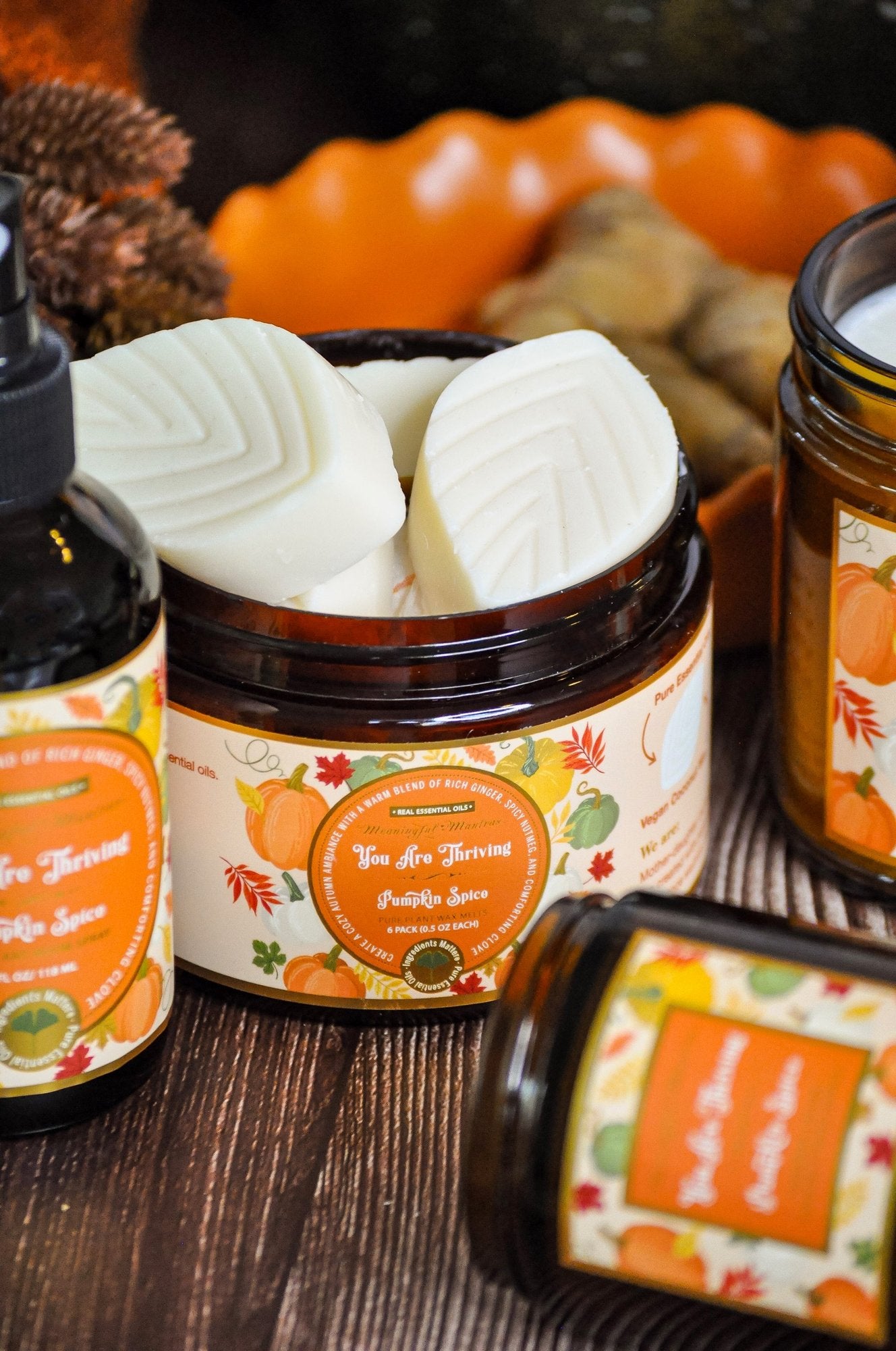 You Are Thriving Pumpkin Spice Wax Melts