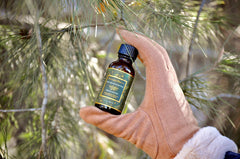 You Are Enchanting Spruce and Fir 1oz Oilimage-alt