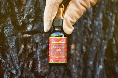 You Are Extraordinary Cinnamon Spice 1oz Oilimage-alt