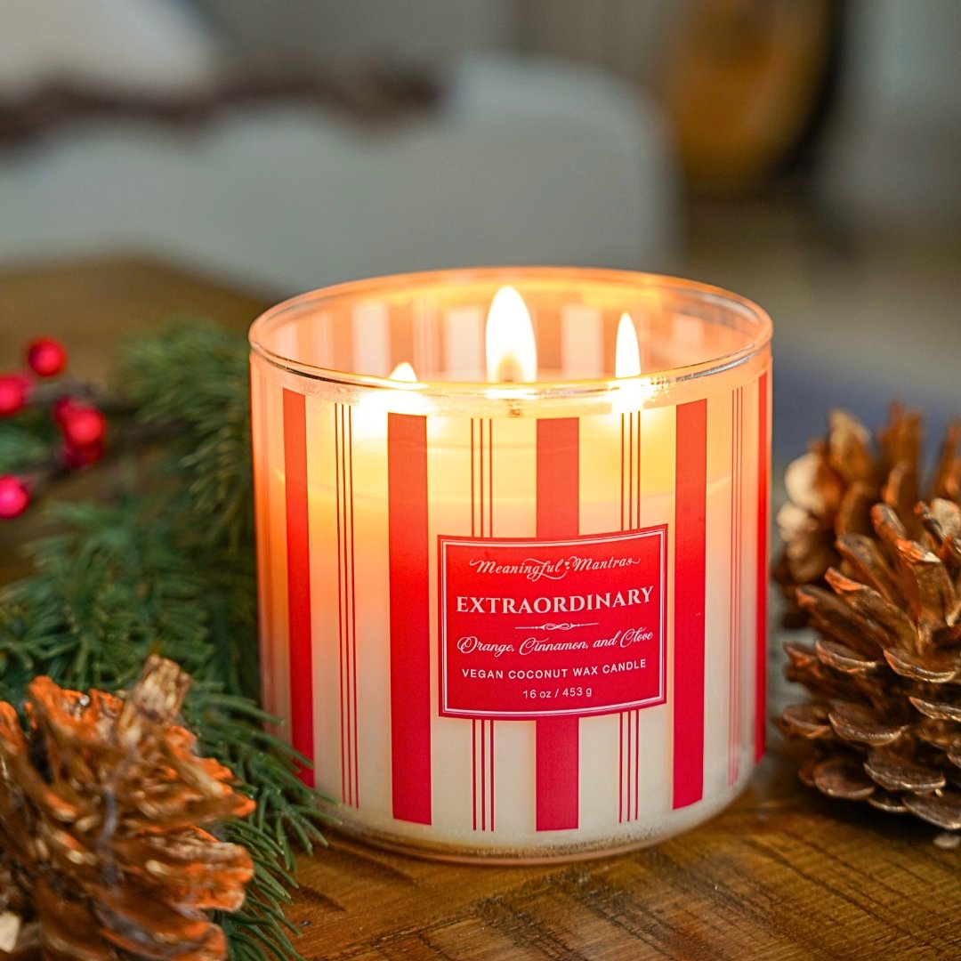 Festive 3-Wick Orange, Cinnamon, & Clove 16oz Candle